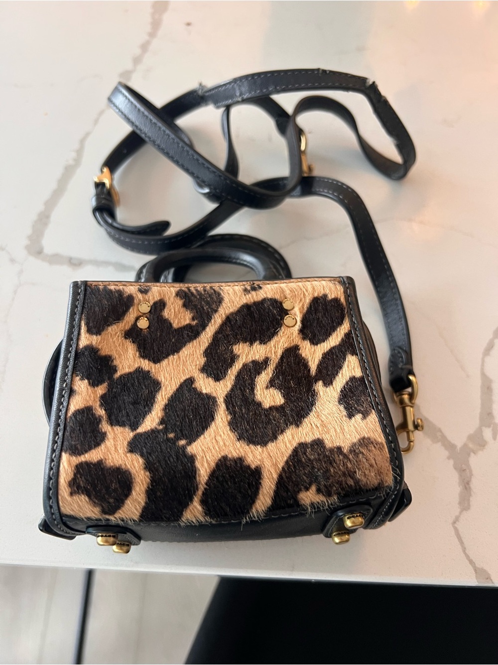Coach Leopard Print Crossbody Bag - Black & Tan